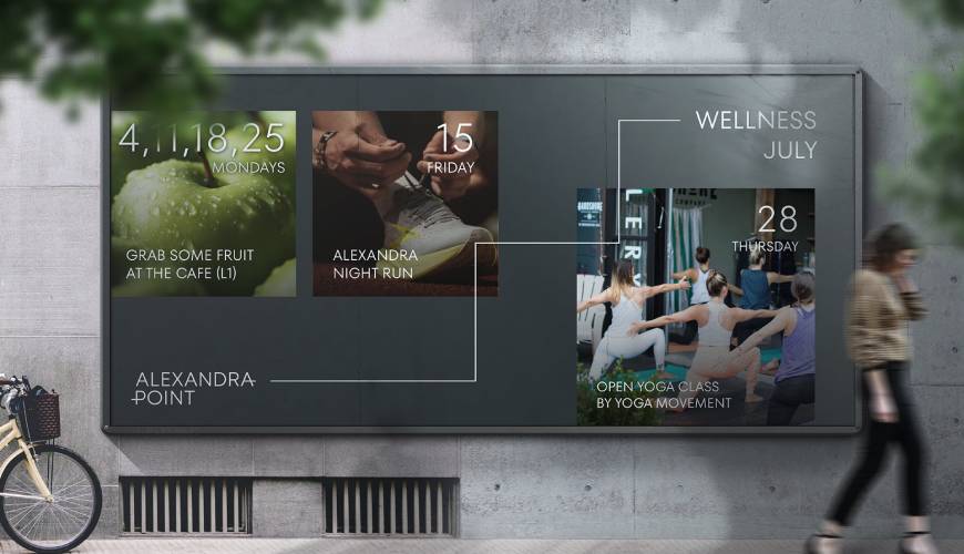 鲁甸县画册设计公司如何进行品牌审核