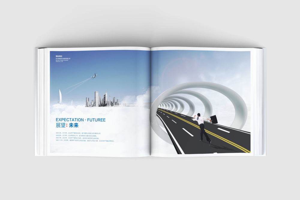 鲁甸县画册设计